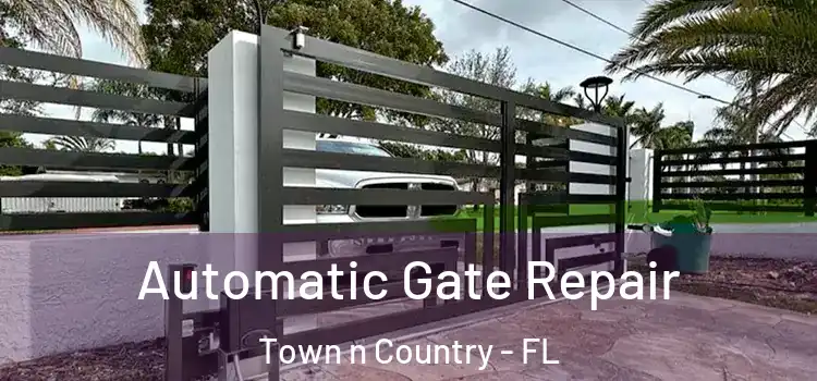 Automatic Gate Repair Town n Country - FL
