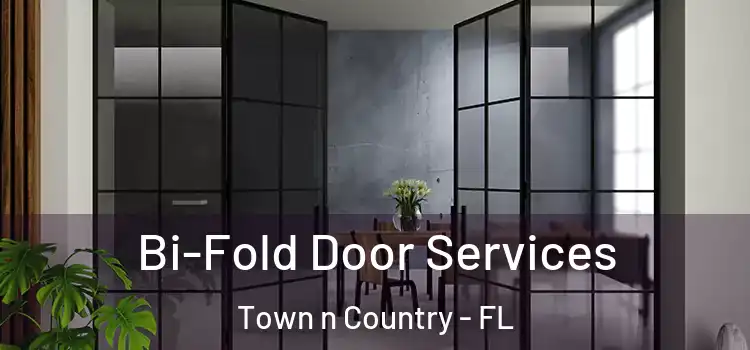 Bi-Fold Door Services Town n Country - FL