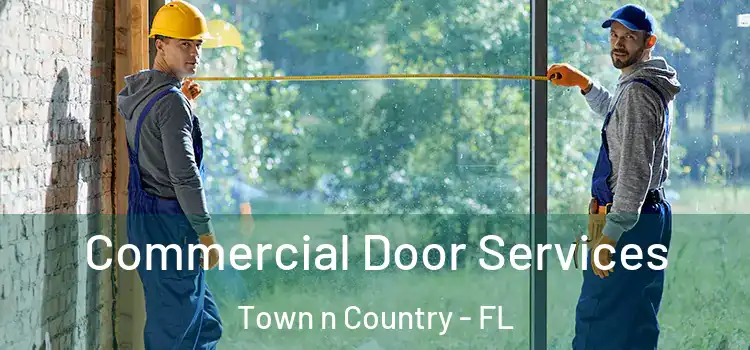 Commercial Door Services Town n Country - FL