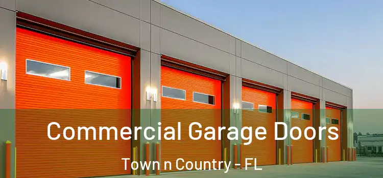  Commercial Garage Doors Town n Country - FL
