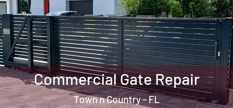 Commercial Gate Repair Town n Country - FL