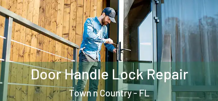  Door Handle Lock Repair Town n Country - FL