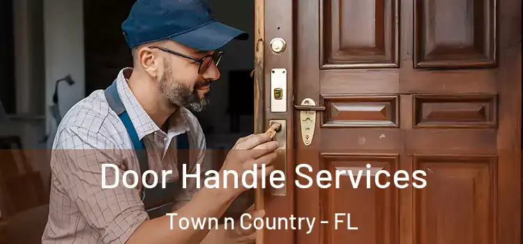 Door Handle Services Town n Country - FL