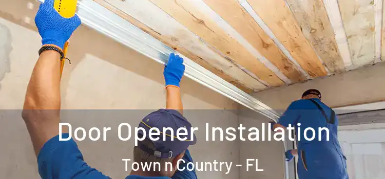 Door Opener Installation Town n Country - FL