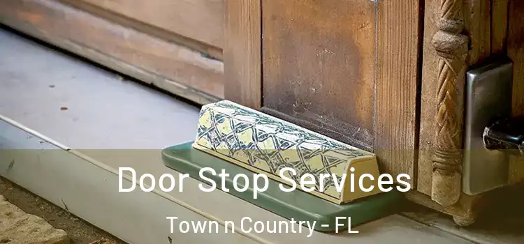 Door Stop Services Town n Country - FL