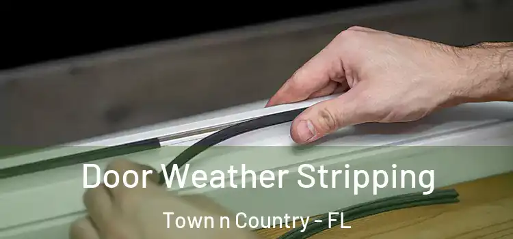 Door Weather Stripping Town n Country - FL