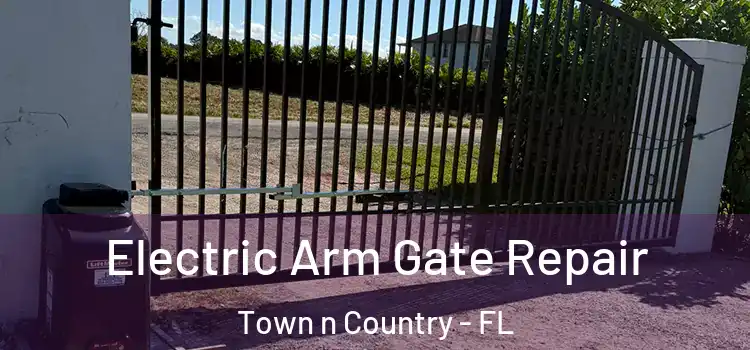 Electric Arm Gate Repair Town n Country - FL