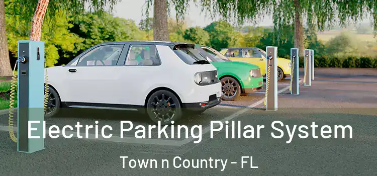 Electric Parking Pillar System Town n Country - FL