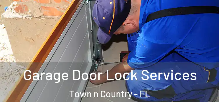 Garage Door Lock Services Town n Country - FL