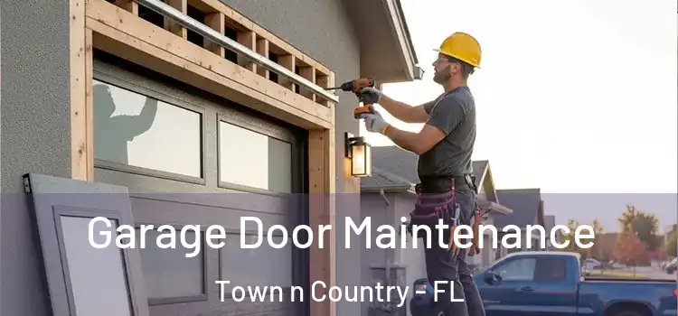 Garage Door Maintenance Town n Country - FL
