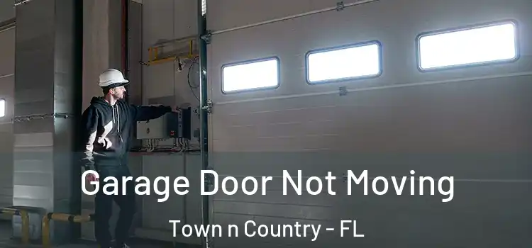  Garage Door Not Moving Town n Country - FL