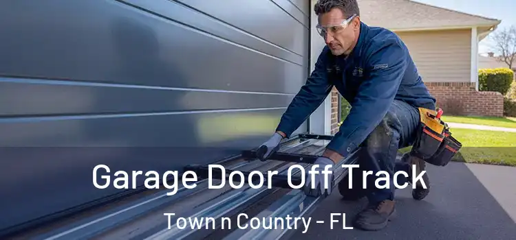  Garage Door Off Track Town n Country - FL