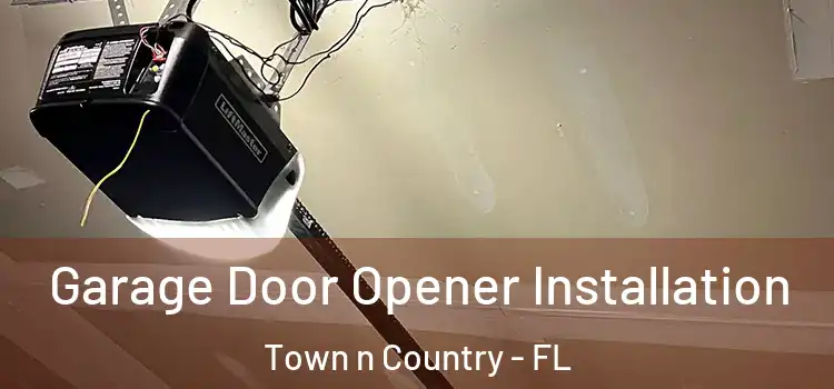  Garage Door Opener Installation Town n Country - FL