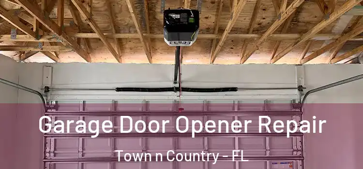  Garage Door Opener Repair Town n Country - FL