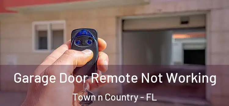  Garage Door Remote Not Working Town n Country - FL