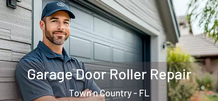 Garage Door Roller Repair Town n Country - FL