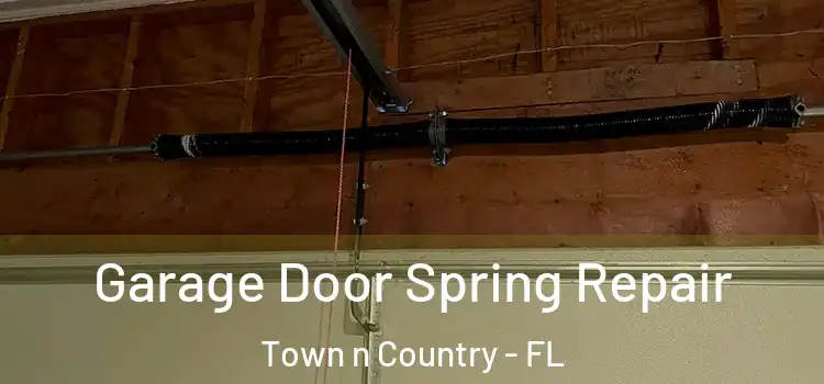  Garage Door Spring Repair Town n Country - FL