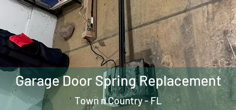  Garage Door Spring Replacement Town n Country - FL