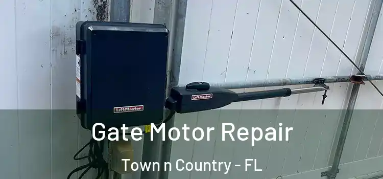 Gate Motor Repair Town n Country - FL