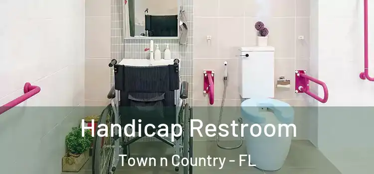 Handicap Restroom Town n Country - FL