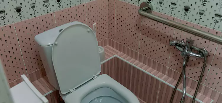 Meeting Diverse Needs With Accessible Restroom Solutions in Town n Country, FL