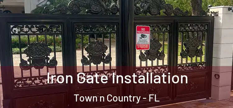 Iron Gate Installation Town n Country - FL
