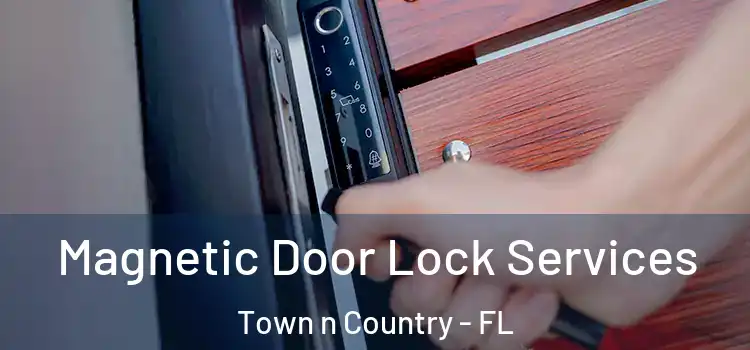 Magnetic Door Lock Services Town n Country - FL