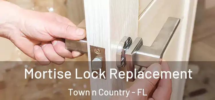 Mortise Lock Replacement Town n Country - FL