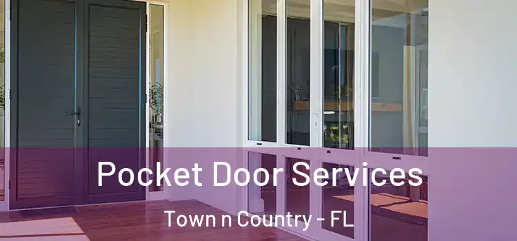 Pocket Door Services Town n Country - FL