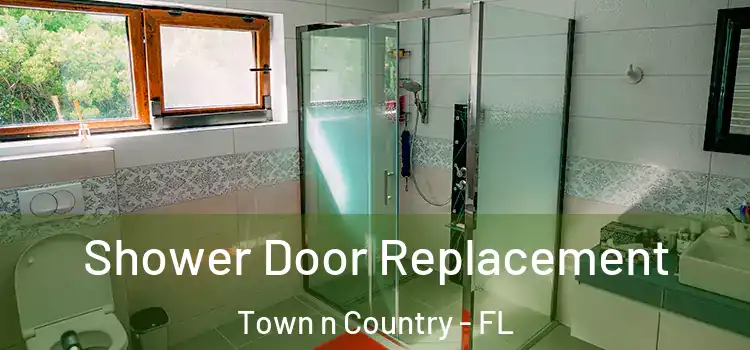 Shower Door Replacement Town n Country - FL