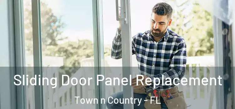  Sliding Door Panel Replacement Town n Country - FL