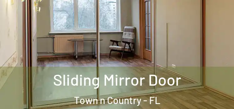  Sliding Mirror Door Town n Country - FL