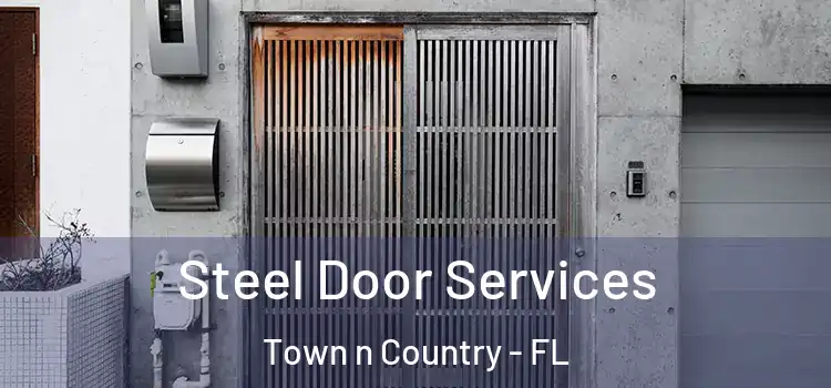 Steel Door Services Town n Country - FL