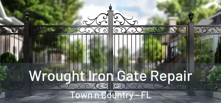 Wrought Iron Gate Repair Town n Country - FL